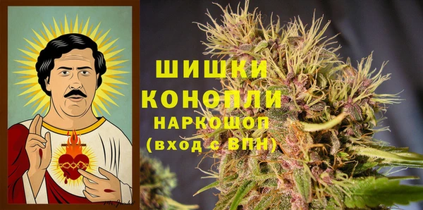 шишки Мегион