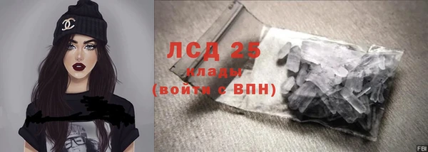 шишки Мегион