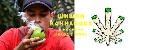 спайс Медвежьегорск
