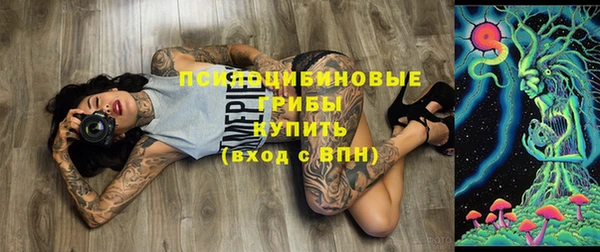 шишки Мегион