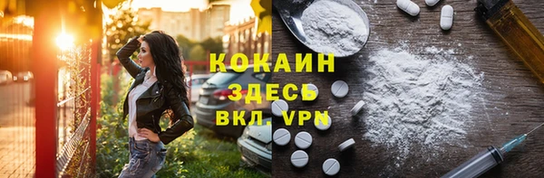 шишки Мегион