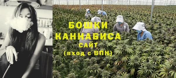 шишки Мегион