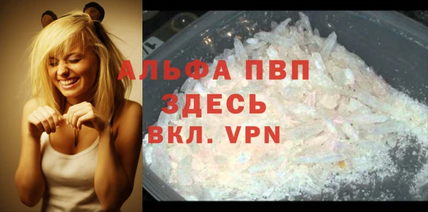 шишки Мегион