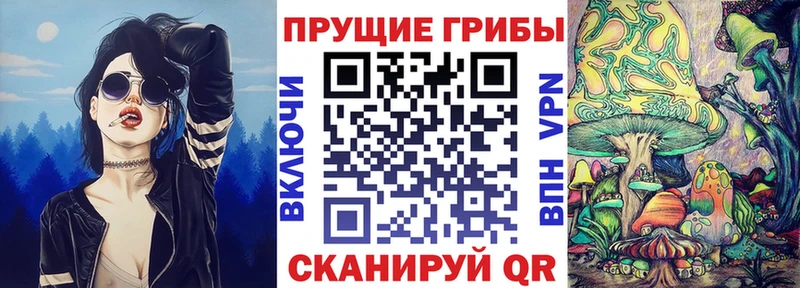Псилоцибиновые грибы Psilocybine cubensis Купить где Анива